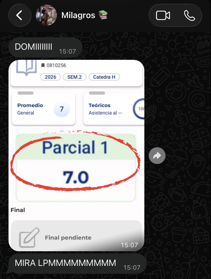 Mensaje de WhatsApp de Mili: aprobó el parcial con 7